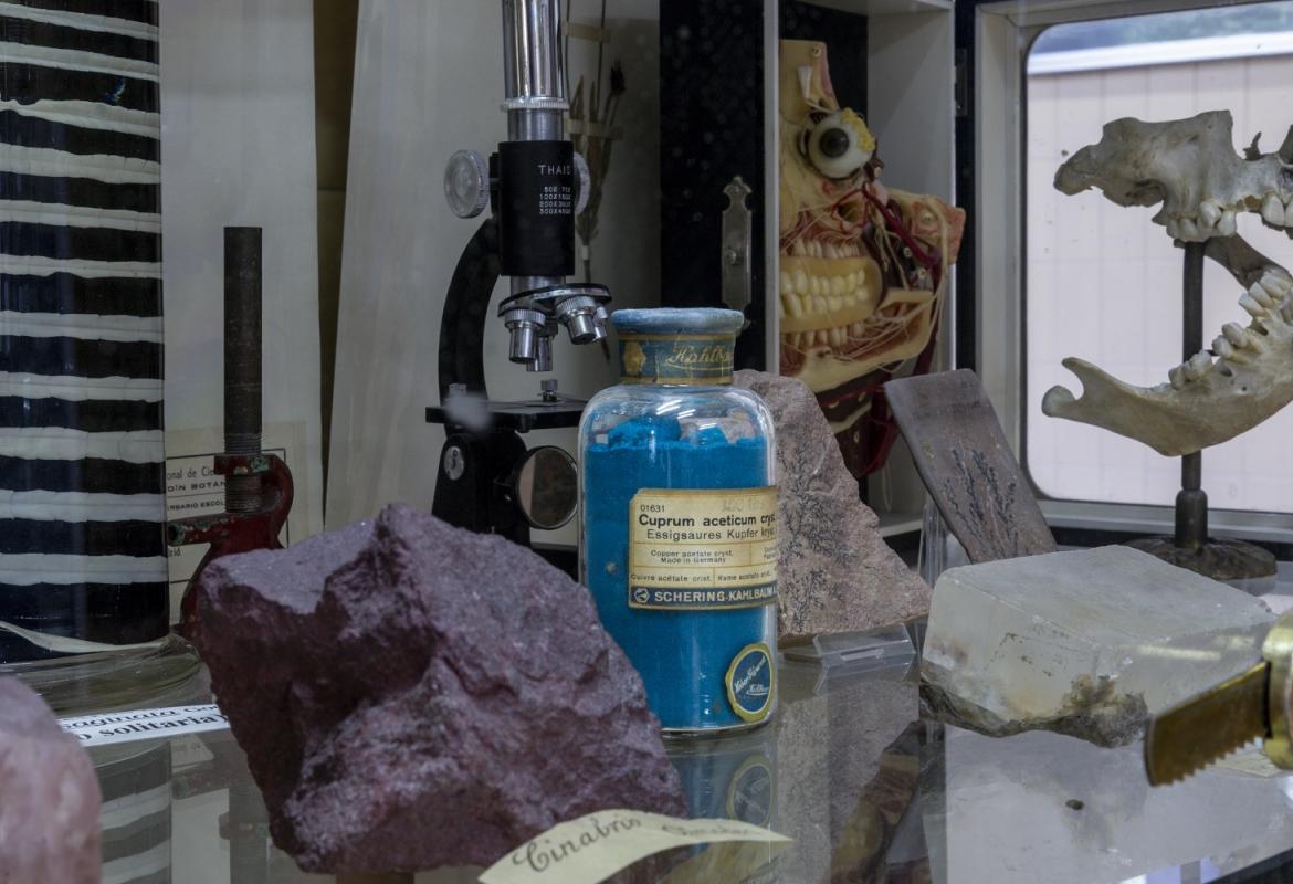 IES Cervantes. Miguel Ángel Camón Detalle de la colección científica del Instituto de Enseñanza Secundaria Cervantes