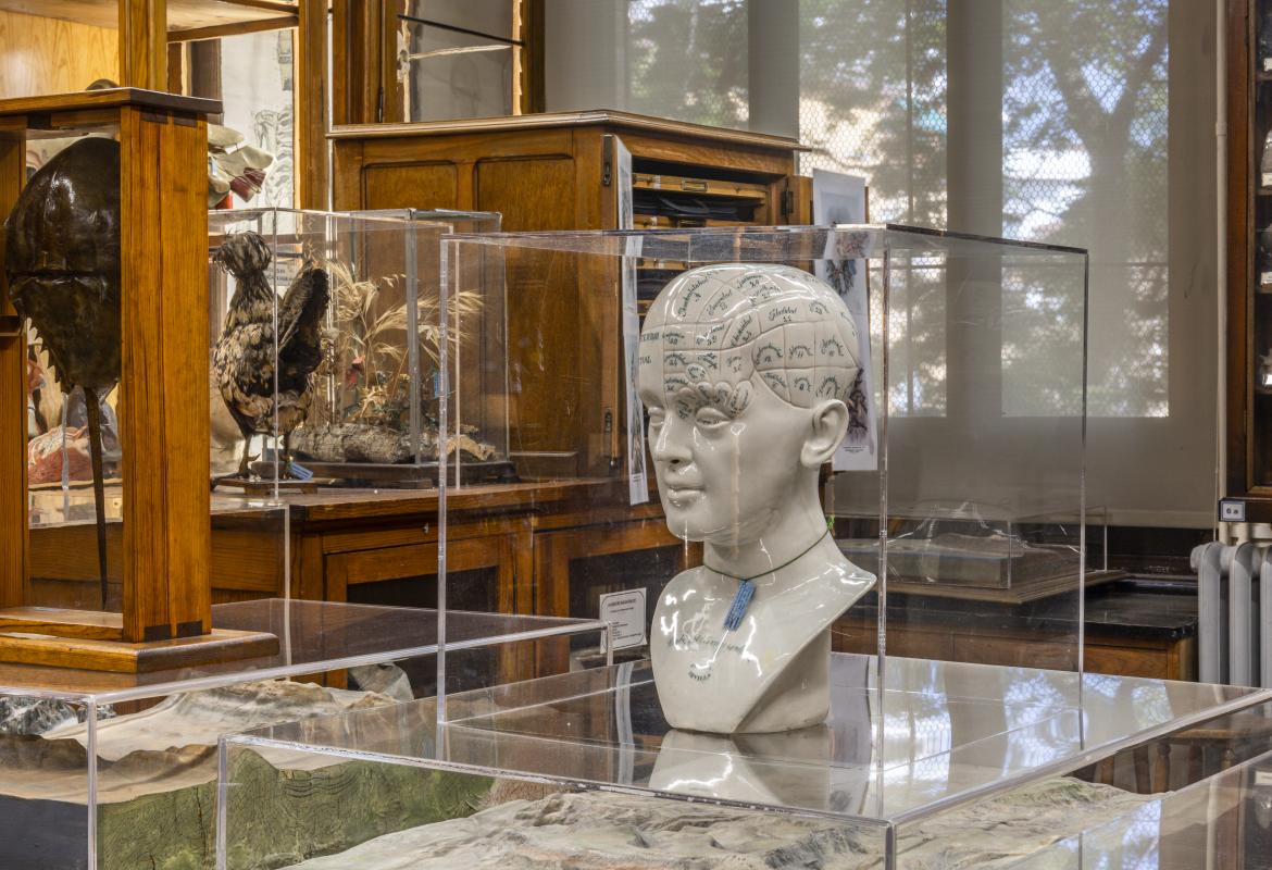 IES Cardenal Cisneros. Miguel Ángel Camón Interior del Instituto Enseñanza Secundaria Cardenal Cisneros