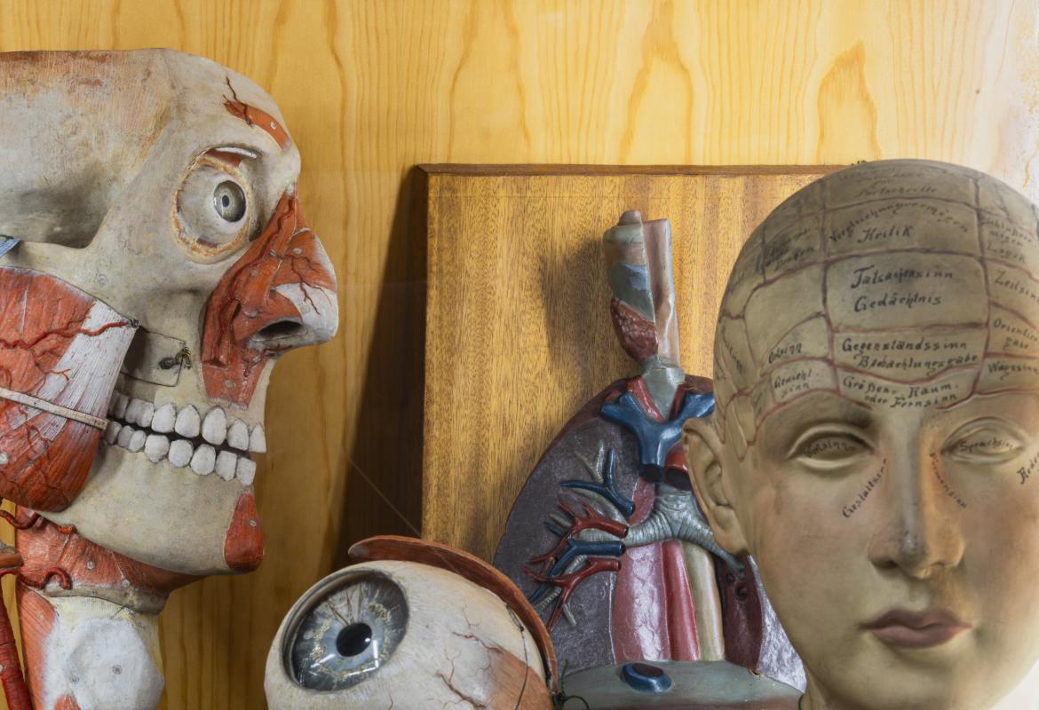 IES Cardenal Cisneros. Miguel Ángel Camón Colección científica del Instituto de Enseñanza Secundaria Cardenal Cisneros