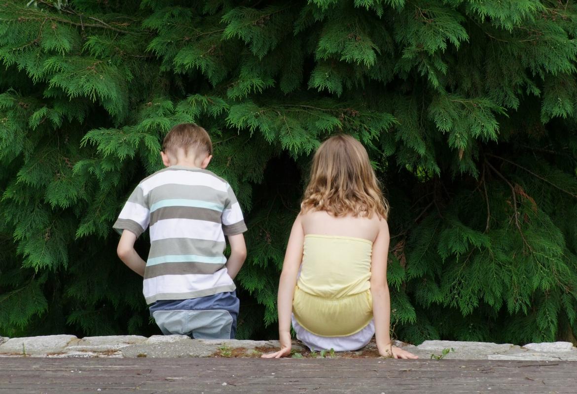 Dos niños de espaldas en el bosque