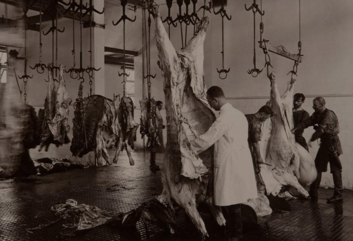 Operarios y veterinarios de un matadero antiguo inspeccionando canales de vacuno