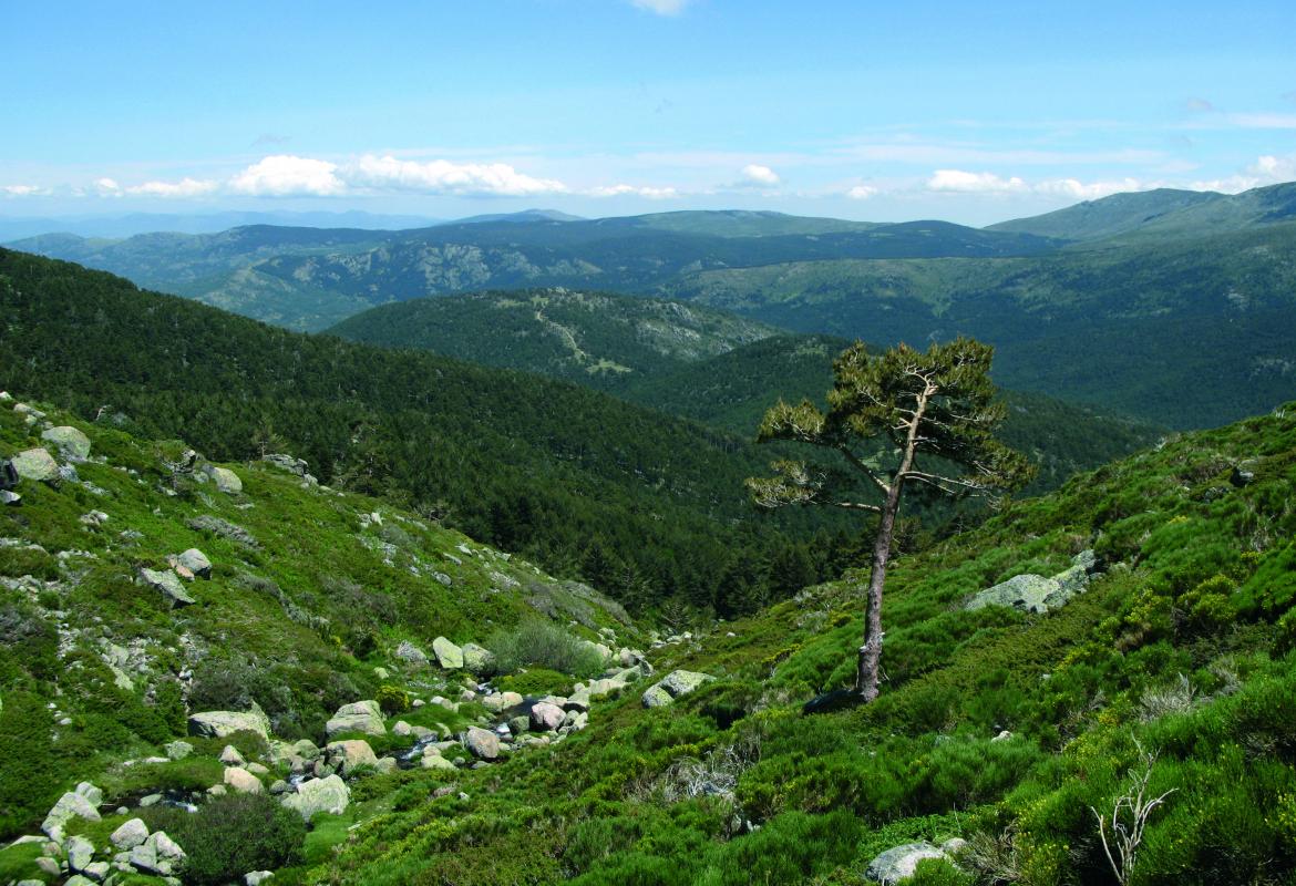 Parque Nacional de la Sierra de Guadarrama. Arroyo Peñalara