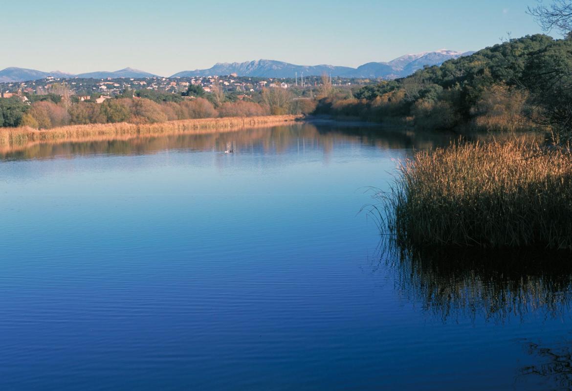 Embalse de Los Arroyos. El Escorial
