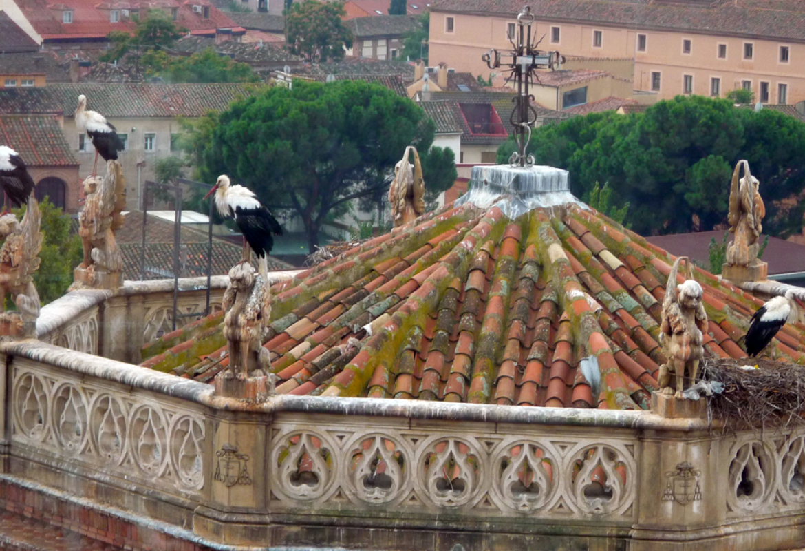 Iglesia del Monasterio Cisterciense de San Bernardo