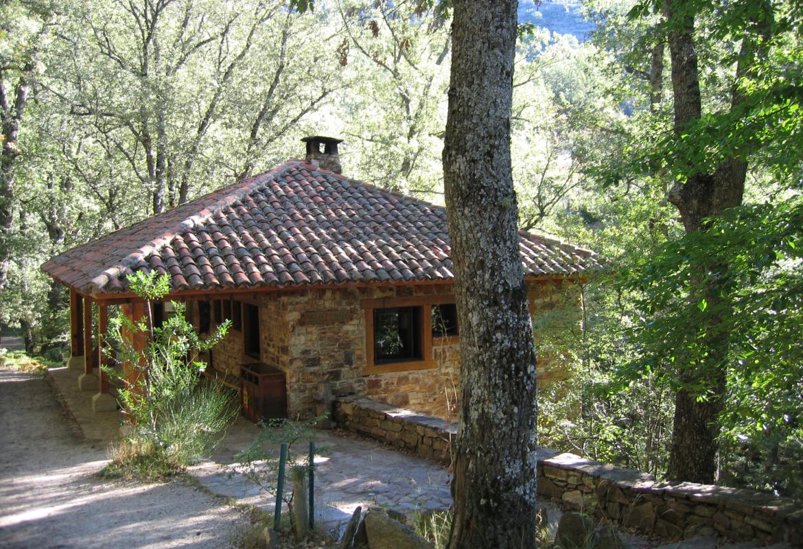 Centro de educación ambiental Hayedo de Montejo