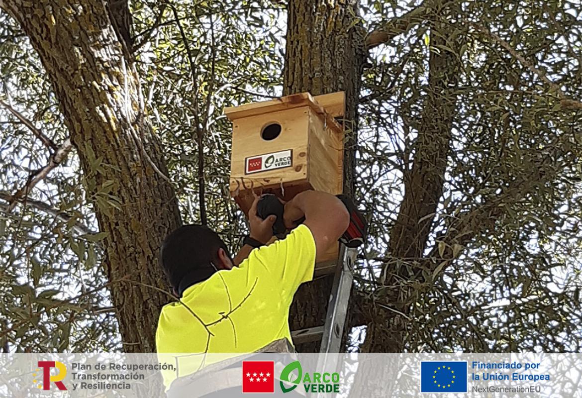Trabajos Arco Verde cajas nido
