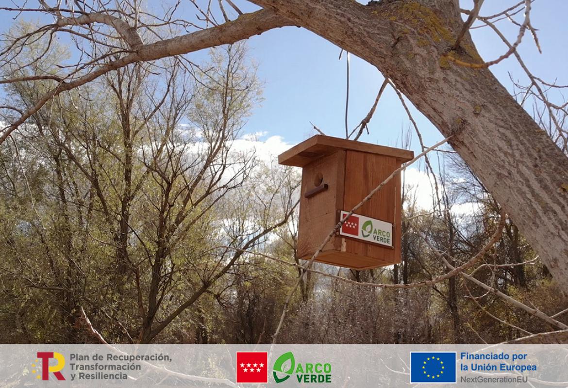 Trabajos Arco Verde cajas nido