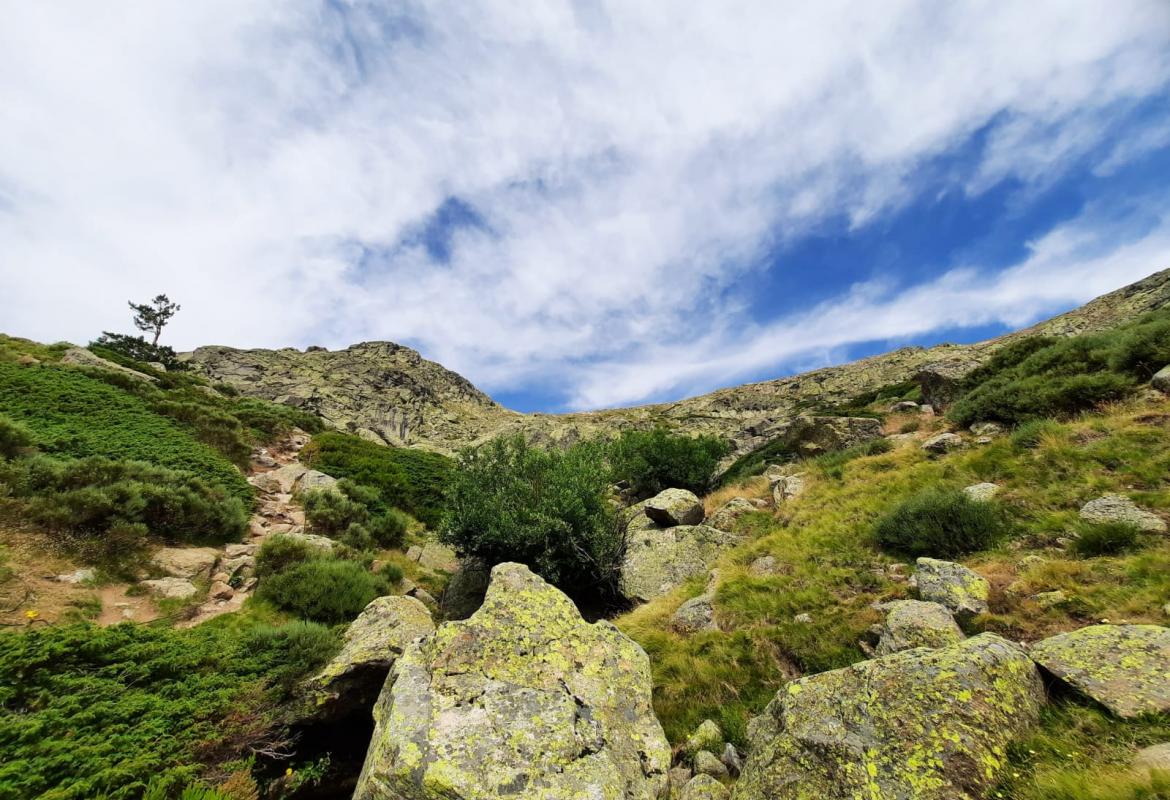 paisaje Parque Nacional Sierra Guadarrama