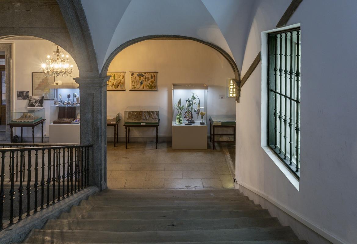 IES San Isidro. Miguel Ángel Camón Interior del Instituto Enseñanza Secundaria San Isidro, vista desde la parte superior de la escalera