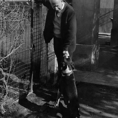 Vicente Aleixandre en Velintonia. Imagen Archivo de la AAVA Imagen de un hombre acariciando a un perro