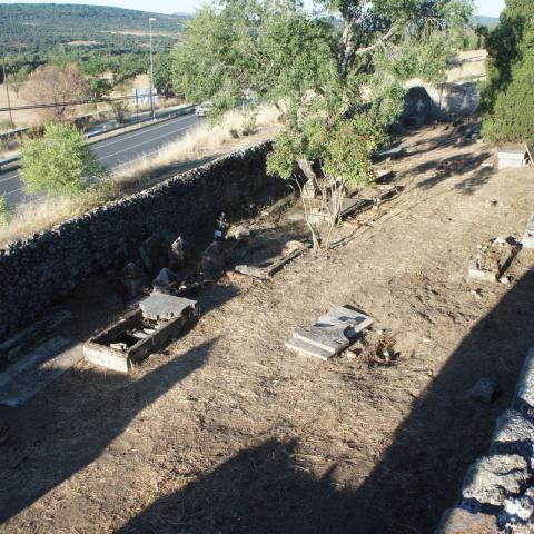 Imagen de recinto amurallado con árboles y restos de tumbas durante su intervención arqueológica