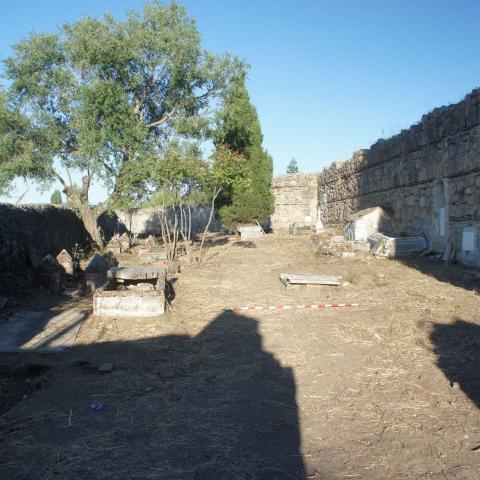 Imagen de recinto amurallado con árboles y restos de tumbas durante su intervención arqueológica