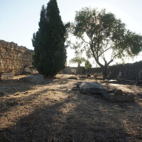 Imagen de recinto amurallado con árboles y restos de tumbas