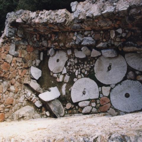 Imagen de la cuadra