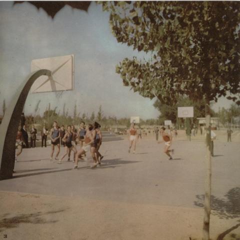 CAMPOS DE BALONCESTO