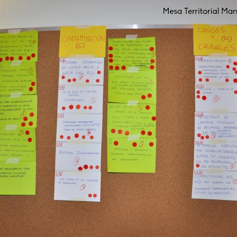 Plan Integral Ríos y Humedales. Mesa Territorial Manzanares