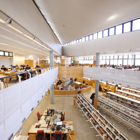 Biblioteca Antonio Mingote (Latina)