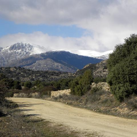 Reserva de la Biosfera Cuenca Alta del río Manzanares. Cañada