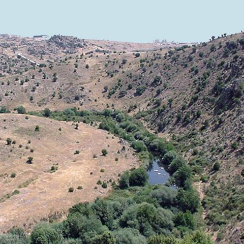 Reserva de la Biosfera Cuenca Alta del río Manzanares. Río Manzanares