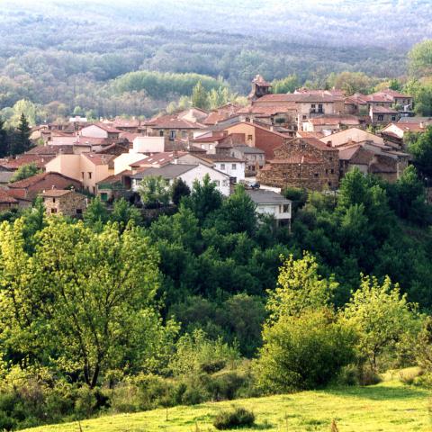 Reserva de la Biosfera Sierra del Rincón. Horcajuelo