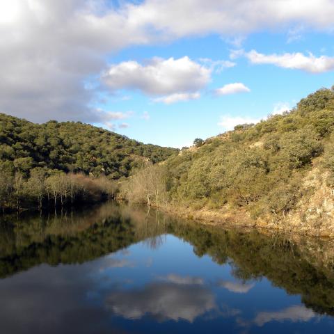 Parque Regional de la cuenca alta del Manzanares. Embalse de Los Ciervos