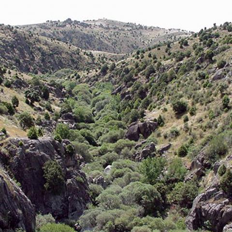 Parque Regional de la cuenca alta del Manzanares. Río Manzanares