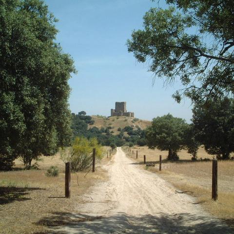Parque Regional del curso medio del río Guadarrama y su entorno