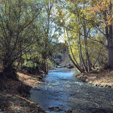 Parque Regional del curso medio del río Guadarrama y su entorno