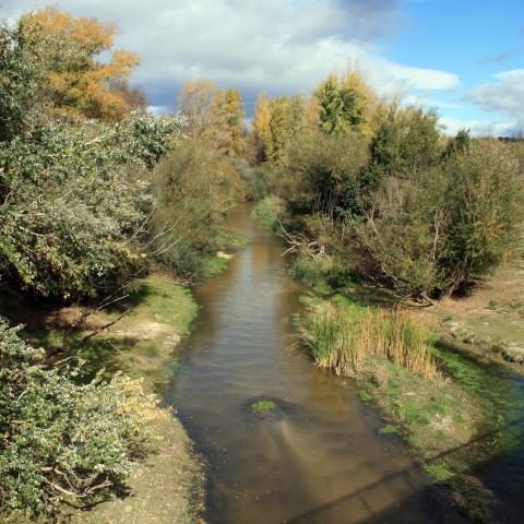 Parque Regional del curso medio del río Guadarrama y su entorno