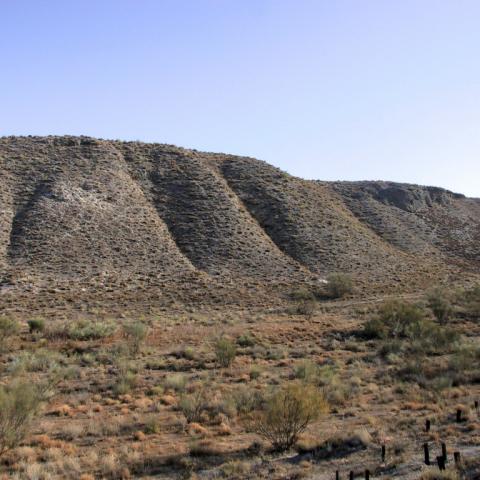 Parque Regional del Sureste_El Espartal
