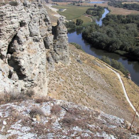 Parque Regional del Sureste_Rio Jarama junto a la Presa del Rey