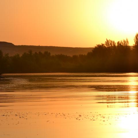 Parque Regional del Sureste_Soto de las Juntas al amanecer