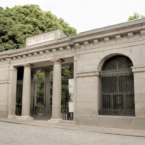 Jardín Botánico. Madrid 