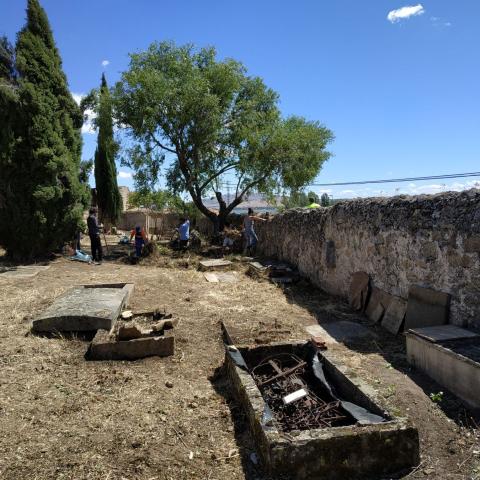 Imagen de recinto amurallado con árboles y restos de tumbas 