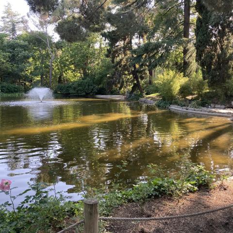 Quinta de los Molinos imagen jardín con un lago