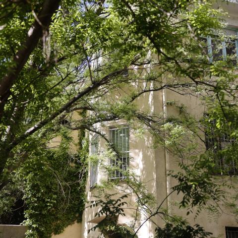 Jardín de Velintonia fachada de una casa parcialmente cubierta con un árbol