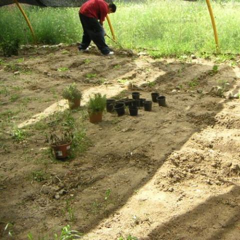 Taller de jardinería