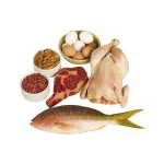 Plan de higiene y seguridad alimentaria plan de seguridad alimentaria