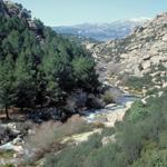 Plan de Gestión de la ZEC Cuenca del río Manzanares y las ZEPA Monte de El Pardo y Soto de Viñuelas