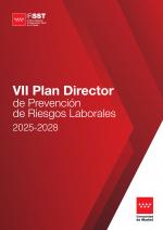VII Plan Director